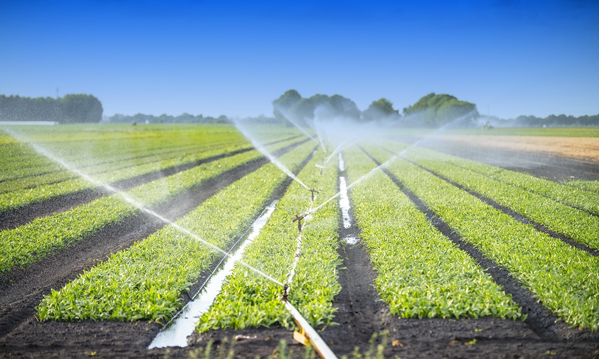 Agriculture & Irrigation
